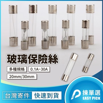 保險絲 玻璃保險絲 250V Fuse 30mm 20mm 3cm 2cm 電子電路保險絲 熔絲 保護裝置 快速型