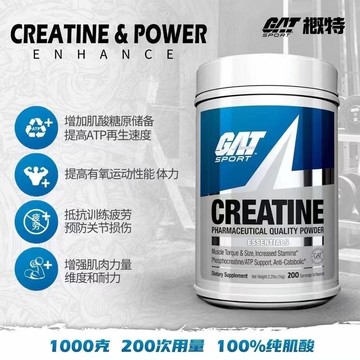 一水肌酸 肌酸粉 GAT概特一水肌酸促進肌肉合成健身運動增肌提高耐力純肌酸粉300g