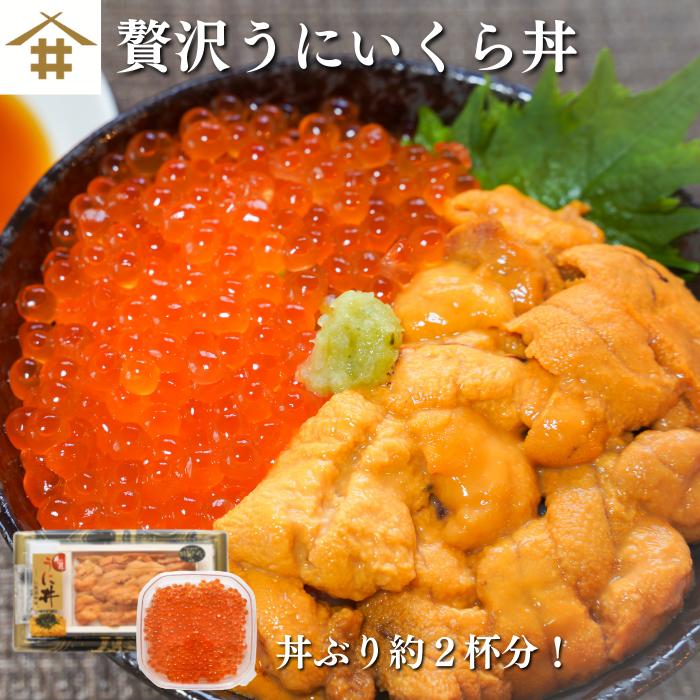 生うに いくら セット「うに丼75g×1、いくら70g×1」新鮮な天然生ウニと