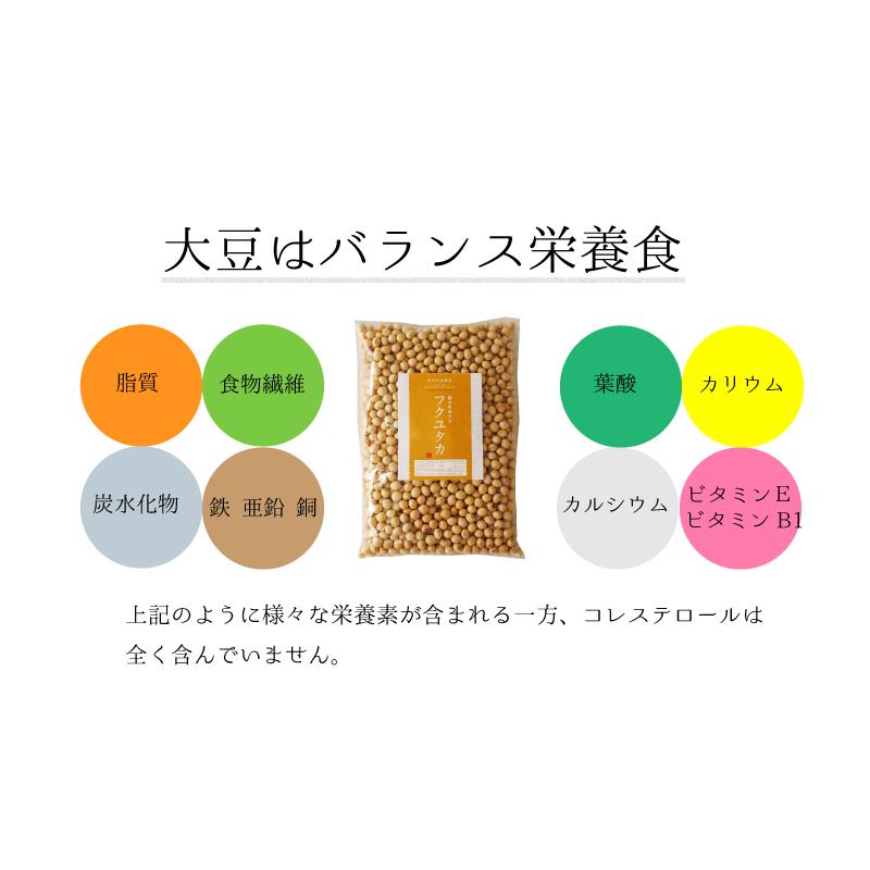 納豆用小粒大豆 1kg 国産 すずおとめ スズオトメ 熊本県産 非遺伝子組み換え