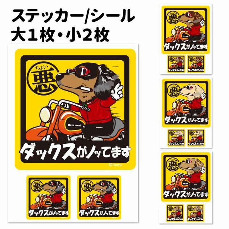 ダックス様ご依頼品おまとめ こっつん様用 ミニチュアダックス （元気いっぱい❗️ダックス