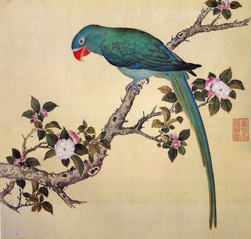 故宮鳥譜033南綠鸚哥仿古畫復制名人字畫名家書畫29X32花鳥畫小品