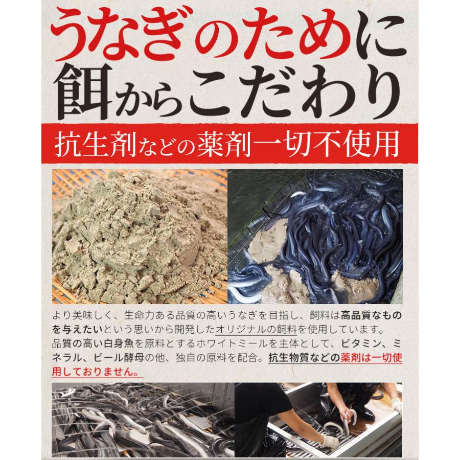 うなぎ 伊勢志摩産 白焼き 大サイズ ４尾 送料無料 国産 ウナギ 鰻 蒲焼き 丑の日 個包装 冷凍 化粧箱入 お歳暮 ギフト