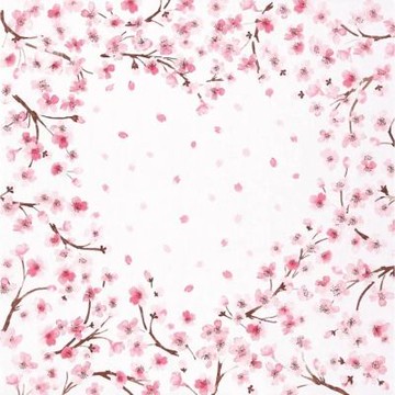 京都手帕-京彩櫻系列-櫻花曙光(白/奶油)