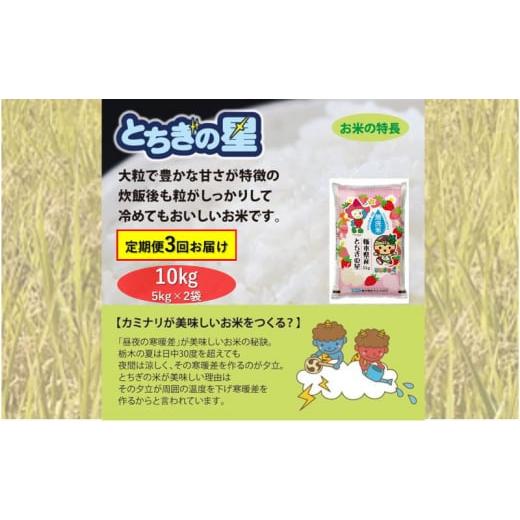 ふるさと納税 栃木県 鹿沼市 栃木県鹿沼市産 とちぎの星 無洗米 10kg（5kg×2袋） 3回お届け 令和5年産 水稲うるち精米 単一原料米 お米  特A…