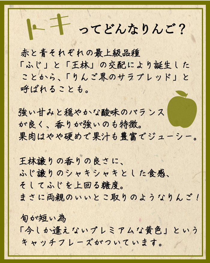 [予約 10月20日-11月20日の納品]  メジャートキ 約5kg 14-16玉 青森県産 リンゴ トキ とき 化粧箱 りんご 糖度15度以上