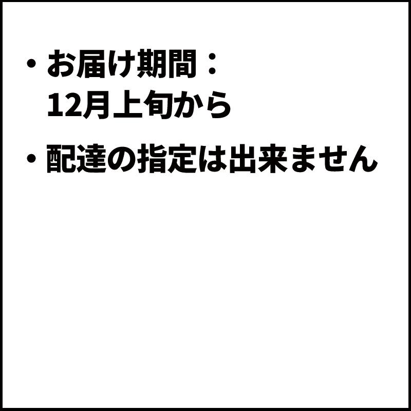 佐賀県産 佐賀美人みかん　お歳暮　御歳暮　高級　ギフト　贈答品　贈り物　お取り寄せ　グルメ　佐賀　九州