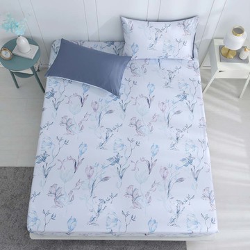 鴻宇 HongYew - 雙人床包枕套組 300織美國棉 精梳棉-卡德爾