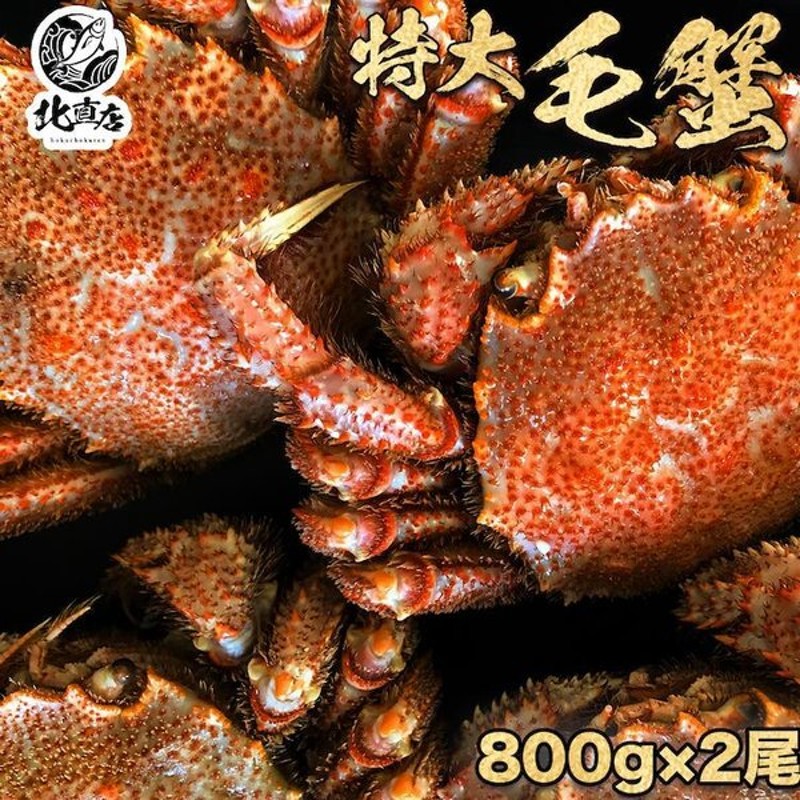 北海道毛がに 特大サイズ 約800ｇ 1尾 安い割引