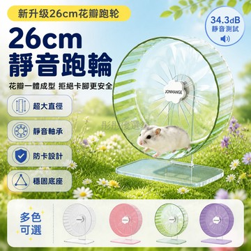 台灣出貨✨ 26CM超大倉鼠跑輪 靜音雙軸滾輪 木質亞克力支架 透明跑球 寵物運動玩具 造景用品 金絲熊專用