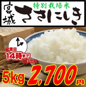 宮城ささにしき　特別栽培米　５ｋｇ（宮城県登米市限定）　白米・玄米・３分搗き・７分搗き選択可能