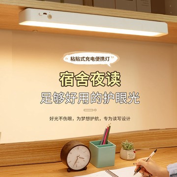熱賣爆款樂居寶學習護眼檯燈學生宿舍必備可充電led燈書桌床頭臥室酷斃燈 Pet2