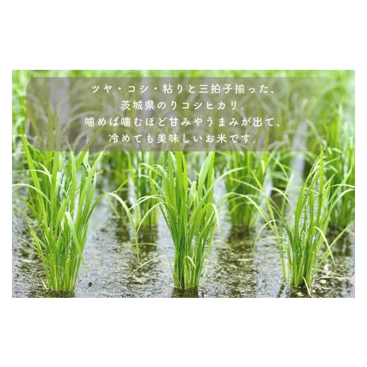 ふるさと納税 茨城県 北茨城市 AL007　無洗米！茨城県産コシヒカリ５ｋｇ！令和5年産米！