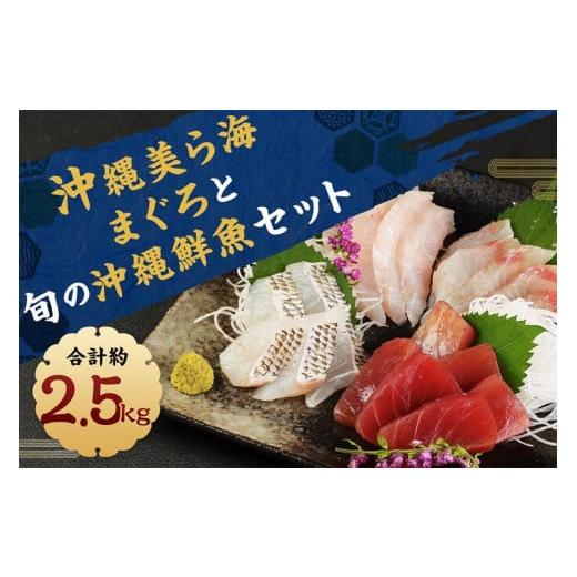 ふるさと納税 沖縄県 那覇市  沖縄美ら海まぐろと旬の沖縄鮮魚セット