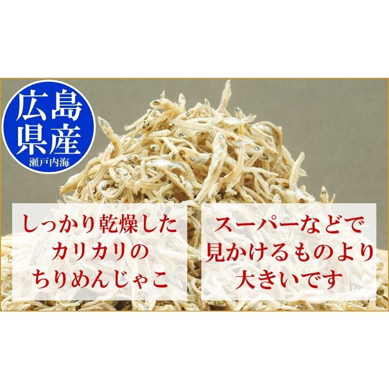 セール 送料無料 ちりめんじゃこ 60g×2袋 広島産 ご飯のお供 魚介類 海産物 魚介 魚