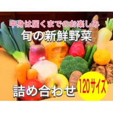 四季折々の新鮮野菜詰め合わせ　旬をお届け!　120サイズ