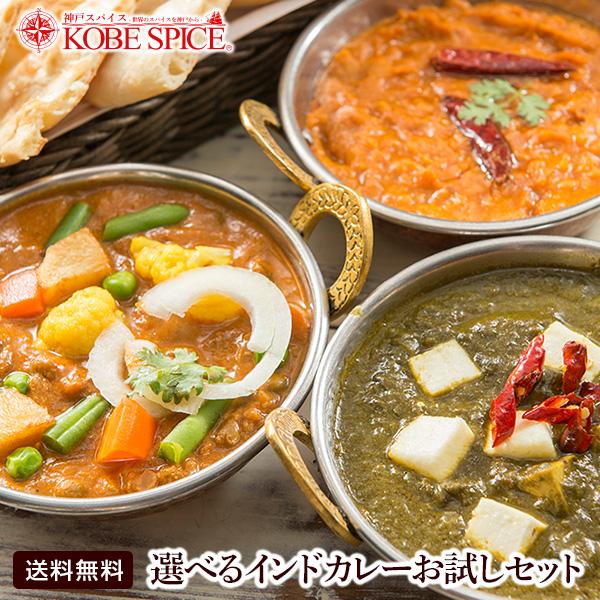 カレー レトルトカレー 選べるお試し3品セット ≪簡易パッケージ≫　MTR 送料無料