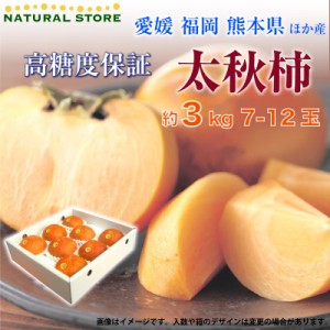 [予約 10月1日-11月30日の納品] 太秋柿 約 3kg 7-12玉 たいしゅうがき 秋ギフト 愛媛 福岡 熊本他 産地厳選 化粧箱 柿