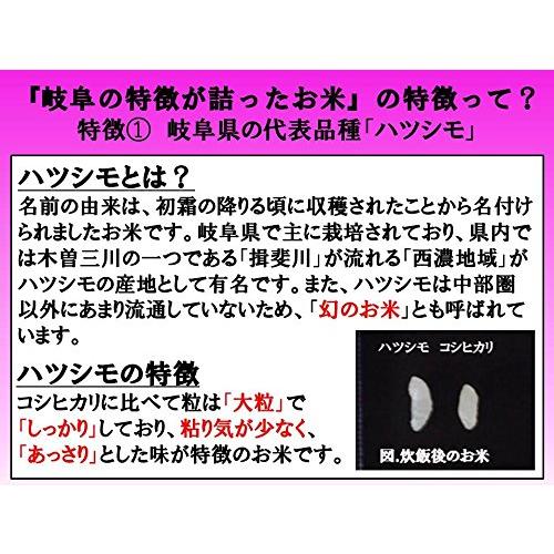 岐阜県産 白米 はつしも レンゲ特別栽培米 5kg令和4年