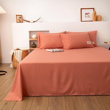 春秋新款床單水洗棉單件純色薄款雙人床單人學生宿舍1.5m床上用品