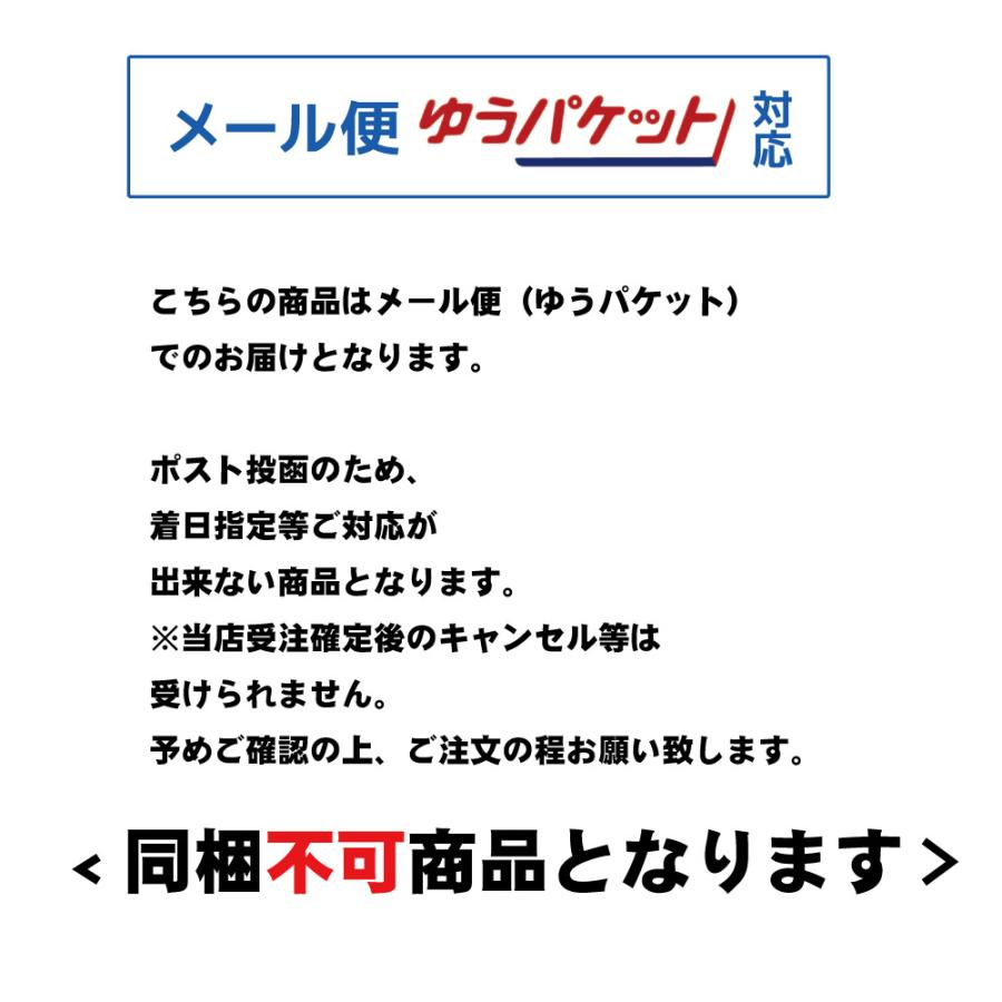 いか飯になれなかったいか 1袋(160g)x2個セット マルモ食品 メール便 いかめし 函館 いか イカ飯 イカ 北海道 おつまみ お歳暮 御歳暮 クリスマス