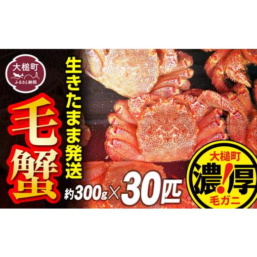 ふるさと納税 岩手県 大槌町 三陸 産 ！ 活 毛ガニ セット  300 g × 30 匹天然 国産 冷蔵 三陸 直送 濃厚 かに 蟹 カニ…