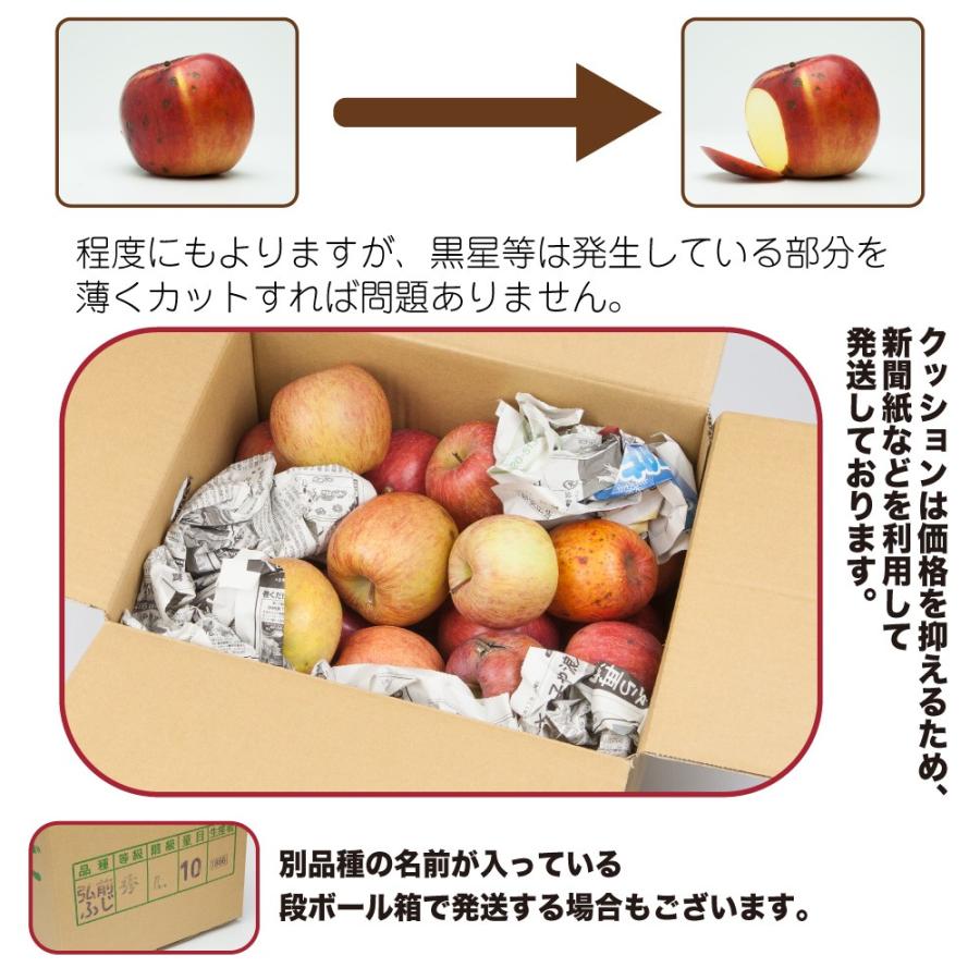 りんご 加工用 １０キロ サンふじ 山形県産 ジュース用 訳あり 産地直送 林檎 リンゴ 10kg