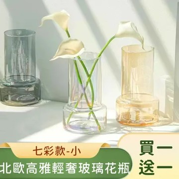 買一送一 【好拾選物】 北歐高雅輕奢玻璃花瓶