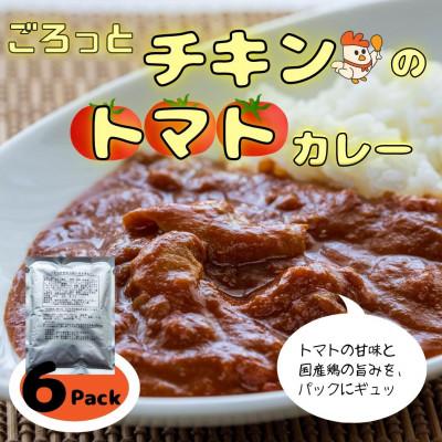 ふるさと納税 いすみ市 ごろっとチキンのトマトカレーレトルト6袋