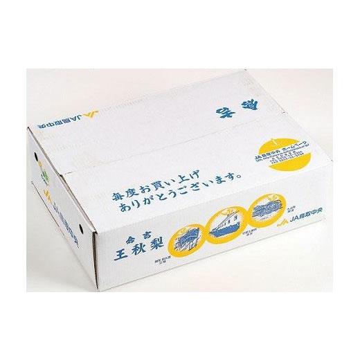 ふるさと納税 鳥取県 三朝町 梨 王秋梨 鳥取産 5kg 5kg × 1箱