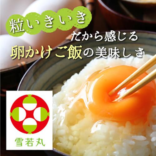 令和4年産 山形県産 米 雪若丸 5kg 玄米 お米 産直 産地直送 お土産 観光地応援 ギフト プレゼント コクブン直送