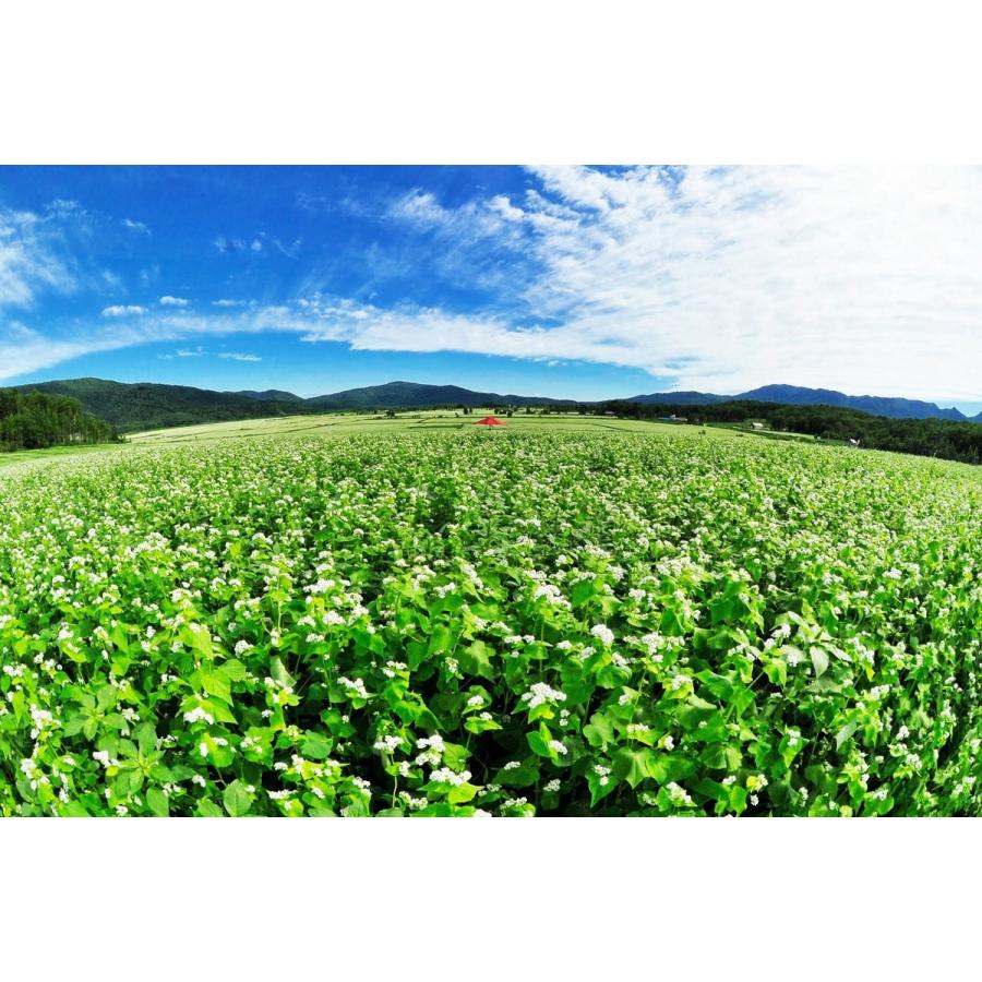 ◆そばの実◆発送日◆送料無料 900ｇ　蕎麦の実！　国産、北海道産、幌加内産玄そば使用！