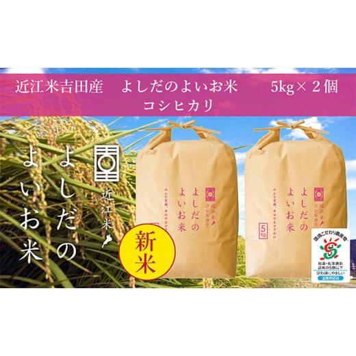 ふるさと納税 滋賀県 豊郷町 令和5年産新米　よしだのよいお米 近江米コシヒカリ5kg×2