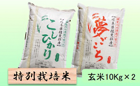 特別栽培米★玄米20kg各10Kｇ