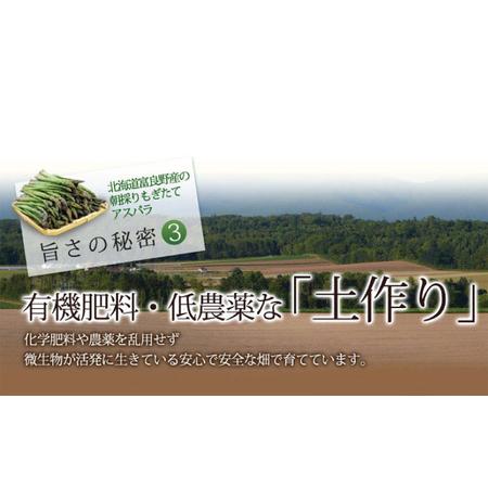 ふるさと納税 北海道ふらの産☆生で食べれるアスパラS-Lサイズ混合 (スイートベジタブルファクトリー) 北海道富良野市