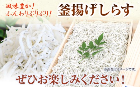 釜揚げしらす900g（木箱) 大五水産 《30日以内に順次出荷(土日祝除く)》 和歌山県 紀の川市 しらす 釜揚げしらす