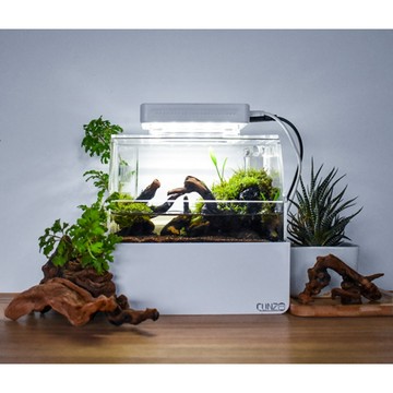 【台灣現貨】微型兩棲水陸缸 寸澤微缸烏龜水陸缸角蛙水陸缸底濾兩棲缸水族箱魚缸角蛙缸烏龜缸寸澤水陸缸寸澤兩棲缸吋澤微缸
