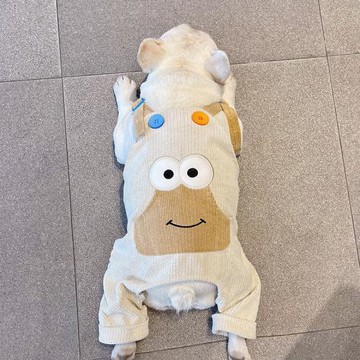 法斗背帶褲衣服巴哥四腳衣寵物狗狗青蛙裝扮背帶褲四腳褲秋冬衣服