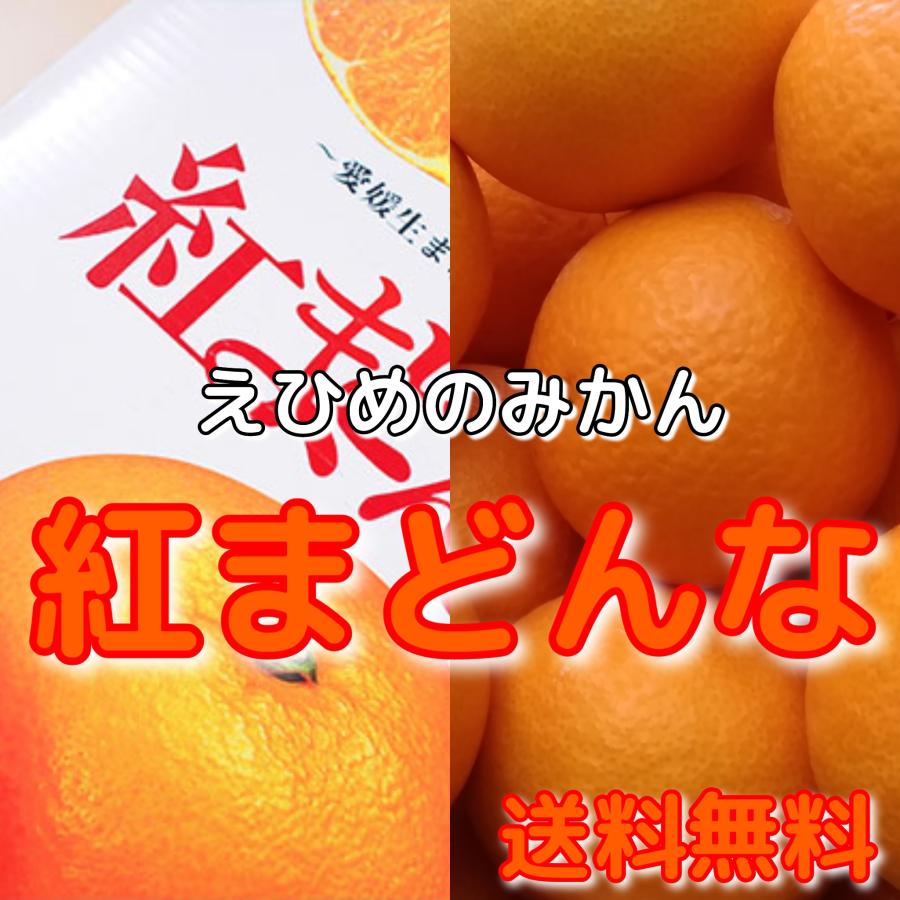 えひめのみかん　紅まどんな　ご家庭用　2キロ　産地直送くだもの柑橘おくりもの28号愛果