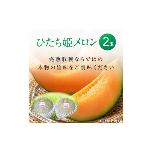 ふるさと納税 茨城県 鉾田市 メロンの森オリジナル・濃厚な旨味「ひたち姫メロン」1箱（2個入）