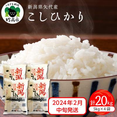 ふるさと納税 妙高市 2024年2月中旬発送　 新潟県矢代産コシヒカリ 計20kg