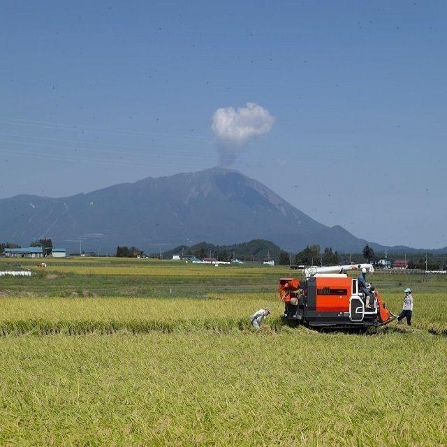 米 岩手県産米 食べ比べ 乾式無洗米 ２Kｇ 袋×２種類比較米 送料無料