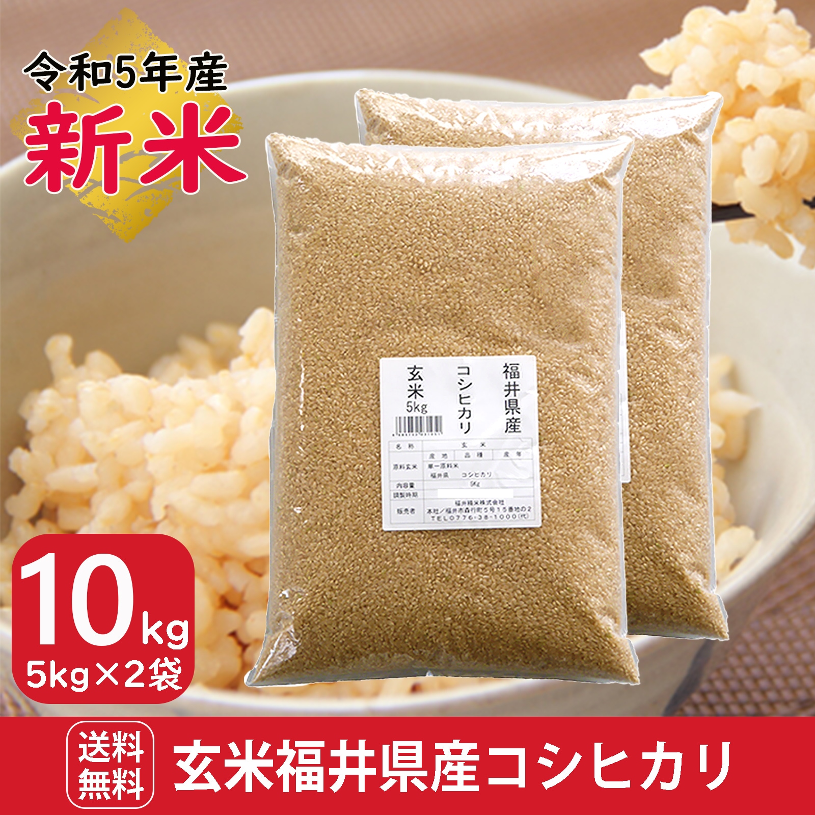 新米 玄米 福井県産コシヒカリ10kg(5kg2袋) 令和5年産