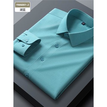 2026春季新款高檔襯衫男長袖商務休閑職業裝湖藍色襯衣打底衫免燙