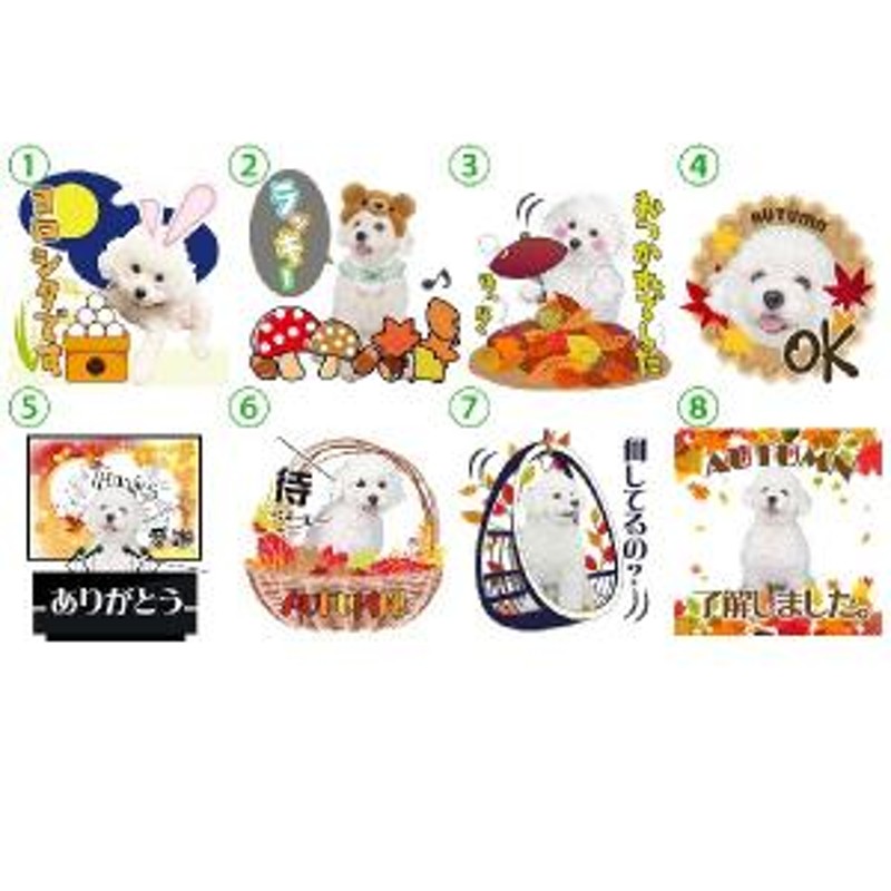 うちの子lineスタンプ オータムセット1 写真でつくるオリジナルlineスタンプ 犬用 通販 Lineポイント最大7 0 Get Line ショッピング