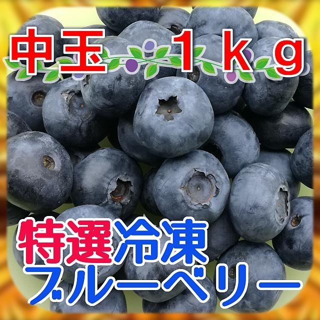 完熟冷凍ブルーベリー[中玉]約１ｋｇ