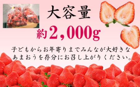 MZ027冷凍あまおう 2kg（1kg×2） いちご 果物 フルーツ