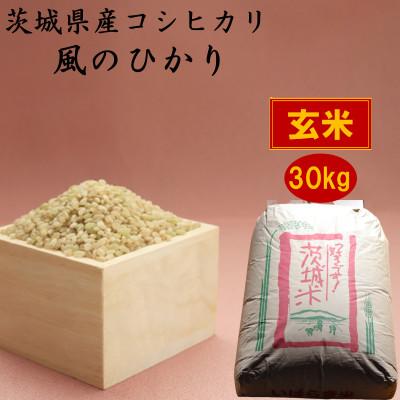 ふるさと納税 かすみがうら市 茨城県産コシヒカリ風のひかり30kg(玄米)