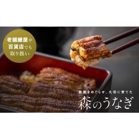 ふるさと納税 国産うなぎ  手焼き蒲焼 2尾(220g以上)セット 森のうなぎ A-AA-A03A 岡山県西粟倉村