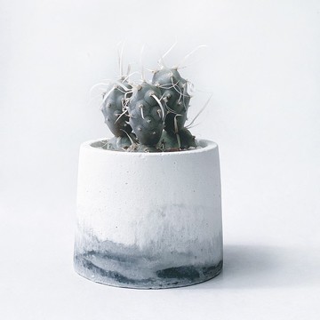 (現貨) 墨黑系列 | 長刺武藏野 仙人掌 圓形水泥仙人掌植栽